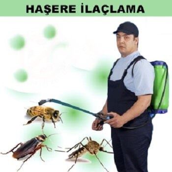 Arhavi Böcek İlaçlama